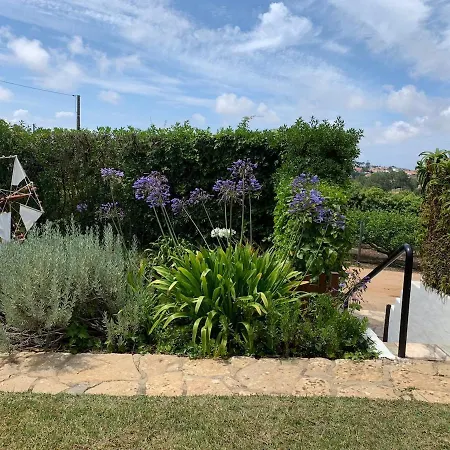 Rustic With Private Pool Near Ericeira